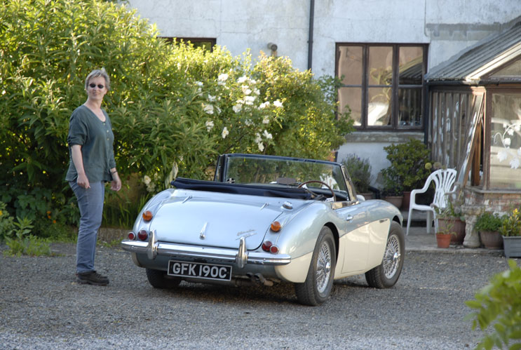 a-healey_web2.jpg (122190 Byte)